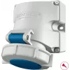 MENNEKES Elektrotechnik GmbH & Co. KG Sieninė dėžė TwinCONTACT 16A 3p 6h 230V IP67 (9105)