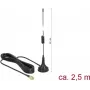 Išorinė antena DeLOCK 89613
