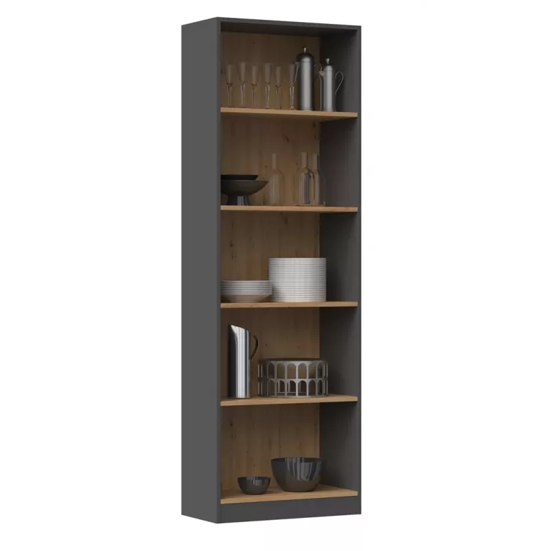 Topeshop R60 ANT/ART biuro knygų spinta