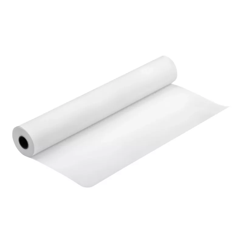 Epson Production Canvas Matte drobė, 610 mm x 12,2 m, matinė, 320 g/m²