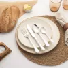 Stalo įrankių rinkinys Salter BW12426EU7 24 vnt., nerūdijantis plienas, tinka indaplovei