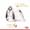 ROYAL CANIN Shih Tzu Suaugusiems Šlapias šunų maistas Pâté 12x85 g
