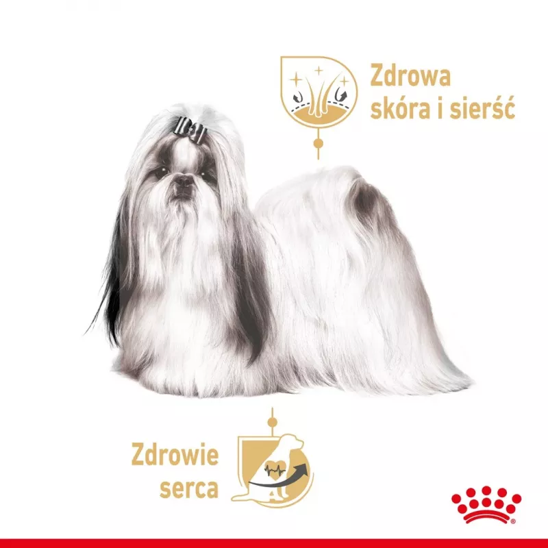ROYAL CANIN Shih Tzu Suaugusiems Šlapias šunų maistas Pâté 12x85 g