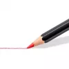 Spalvoti pieštukai Staedtler 149C C24