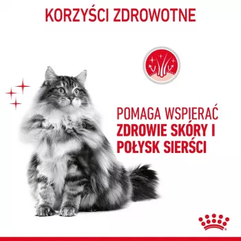 Sausas kačių ėdalas Royal Canin Hair & Skin Care 2 kg – vištiena, suaugusioms, 33% baltymų, 22% riebalų