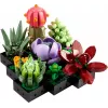 Lego Icons 10309 Sukulentai