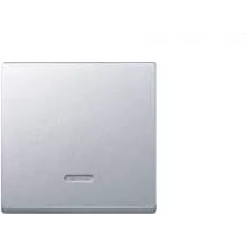 Merten 431060 šviesos jungiklis aliuminis (431060)