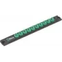 Wera 05136420001 9600 Nuss-Magnetleiste Twist-to-lock 1/4 1 vnt. (05136420001)