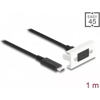 DeLOCK Easy 45 modulis USB Type-C moteriška į kištukinį 1m, USB 3.2 Gen 2, 10 Gbps