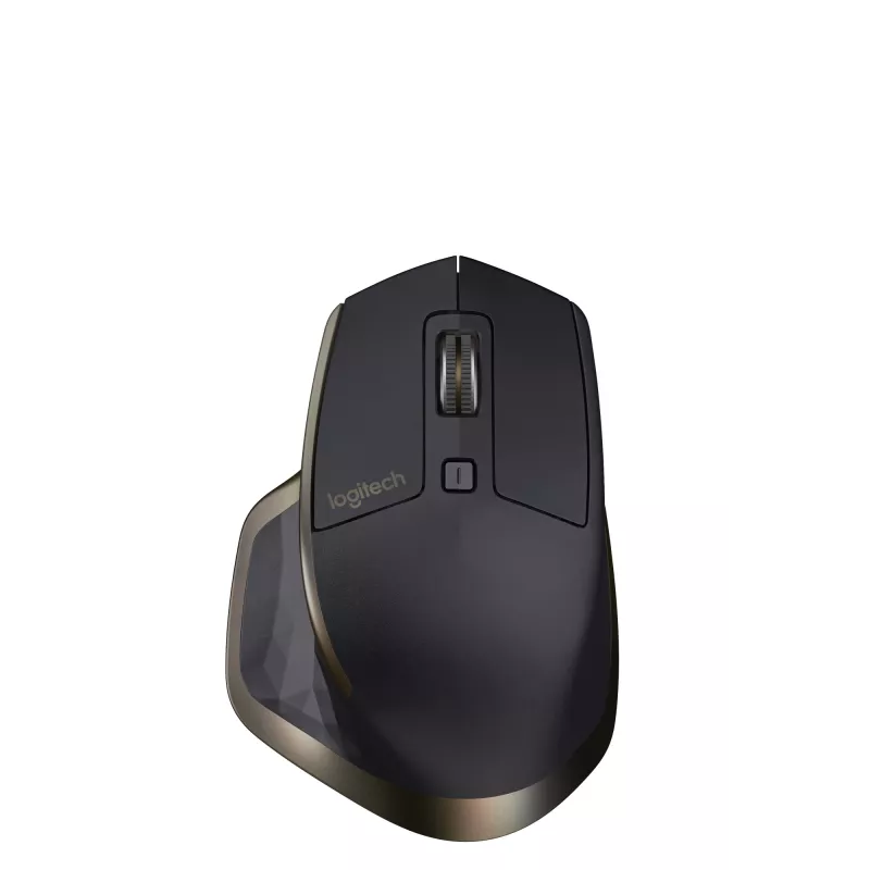 Belaidė lazerinė pelė Logitech MX Master 910-005213