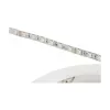 Synergy 21 LED Flex juosta 5050 - 60 RGB DC24V + RGB-W vienas lustas šilta balta IP68