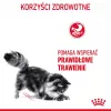Sausas kačių ėdalas Royal Canin Digestive Care 10 kg – suaugusioms, žuvies ir paukštienos receptūra, 38% baltymų, 15% riebalų