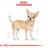 Sausas šunų ėdalas Royal Canin Chihuahua Adult 1,5 kg – Vištiena, 28% baltymų, mažoms ir ypač mažoms veislėms