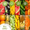 Toraf Flavor Symphony sėklų rinkinys – 12 pakuočių