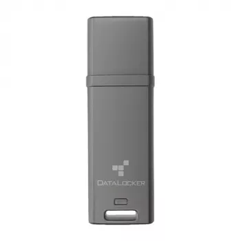DataLocker 4GB DL GO 256BIT USB 3.2 gen 1 atmintukas - įvairių spalvų (DLGO-004)