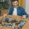 Dėlionė Ravensburger Hario Poterio burtininko mokinys 1000 dalių