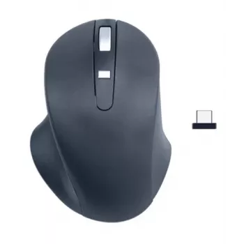 Belaidė pelė Matias Wireless USB-C Pro Mouse juoda