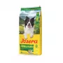 Sausas šunų ėdalas JOSERA Adult Salmon & Potato 12,5 kg — suaugusių šunų priežiūrai, lašiša ir bulvės