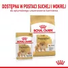 Sausas šunų ėdalas Royal Canin Pomeranian Adult 3 kg – suaugusiems Pomeranijos špicams