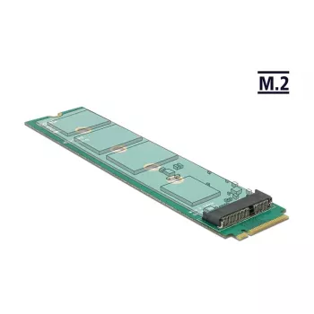 Vidinis M.2 adapteris DeLOCK 65831