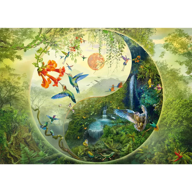 Dėlionė 1000 detalių, Schmidt Spiele Silvia Christoph — Yin & Yang Miške Kolibrių