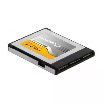 DeLOCK 54066 256 GB CFexpress Type B atminties kortelė