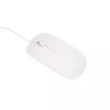 Extralink Stacionarus kompiuteris Xiaomi 24 colių All-In-One PC Business | Intel i5 11300H, 16GB DDR4, 512GB SSD, klaviatūra, pelė, internetinė kamera