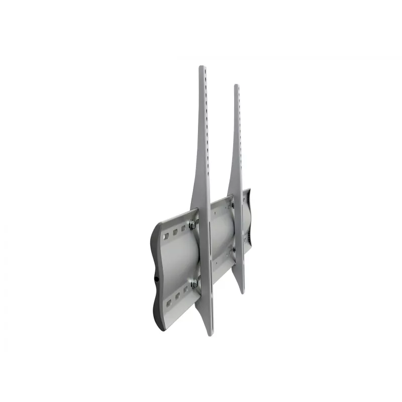 Ergotron 60-602-003 Sidabrinis