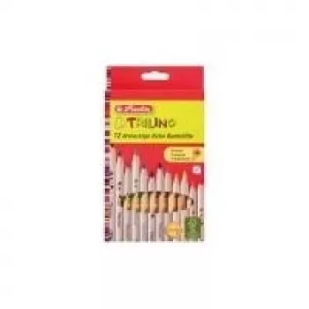 Spalvotas pieštukas Herlitz 10412062 Multi 12 vnt.