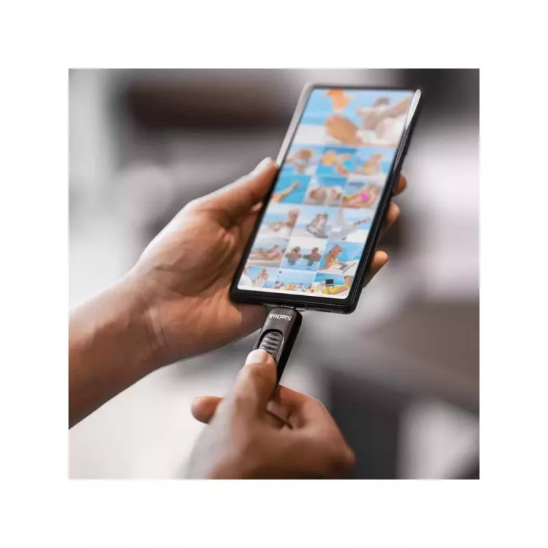 USB atmintukas SanDisk 128 GB USB Type-C SDCZ480-128G-G46