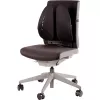 Atraminė nugaros pagalvėlė FELLOWES Back Angel 8026401