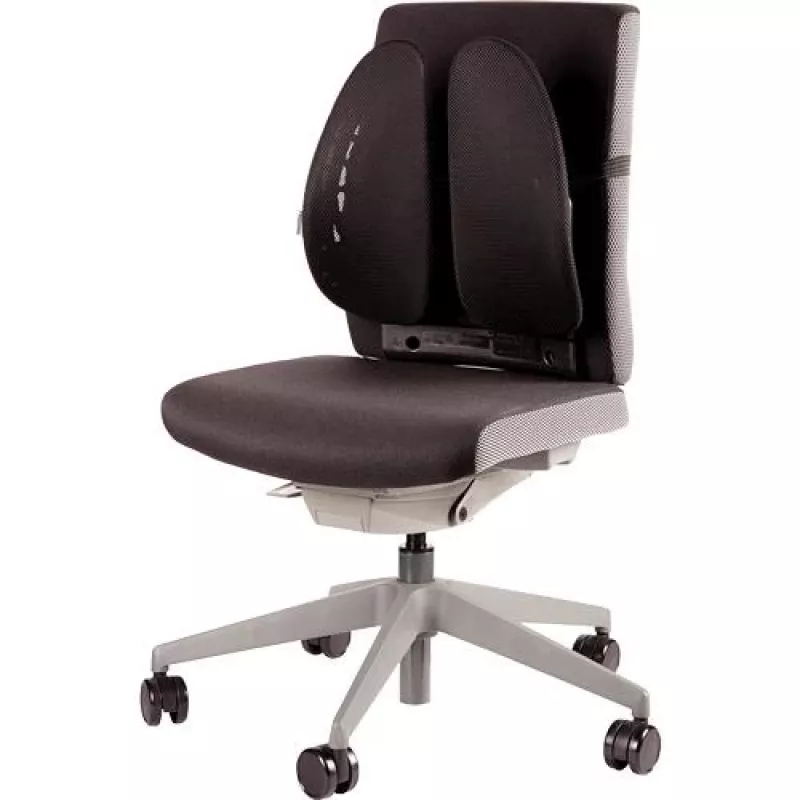 Atraminė nugaros pagalvėlė FELLOWES Back Angel 8026401