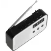 Nešiojamas skaitmeninis radijas Adler AD 1907 – AM/FM, skaitmeninis derintuvas, žadintuvas, USB-C, 600 mAh baterija, LCD, 20 stočių atmintis, teleskopinė antena