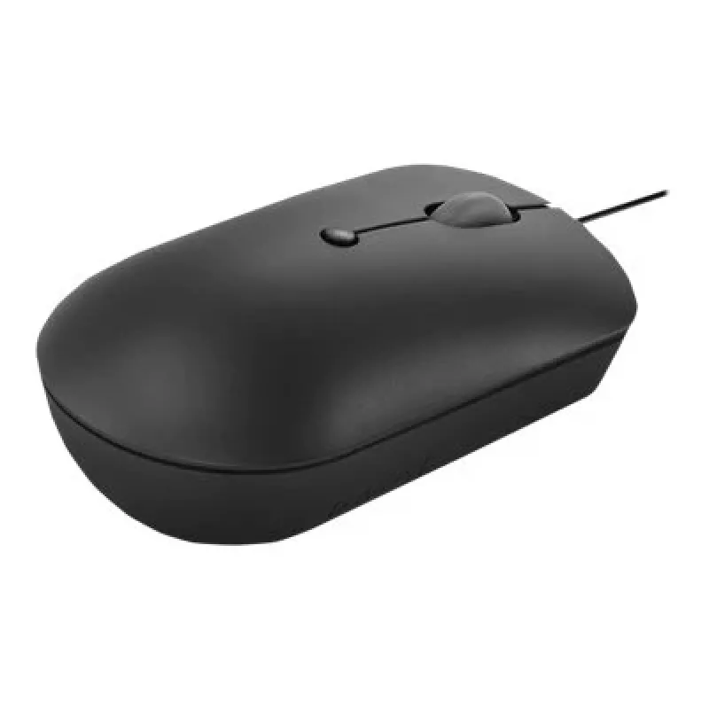 Laidinė optinė pelė Lenovo GY51D20875 USB Type-C, ambidekstrinė, 2400 DPI, 4 mygtukai, juoda