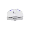 Pelė White Shark GM-5019 Dagonet belaidė