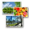 Foto popierius ColorWay PG2305004R 230 g/m² 10x15 cm 500 lapų