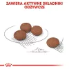Royal Canin Mini Digestive Care 1 kg suaugusiems šunims su paukštiena