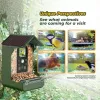 EASYPIX Bird Cam 10123 paukščių kamera 1080p HD naktinis matymas