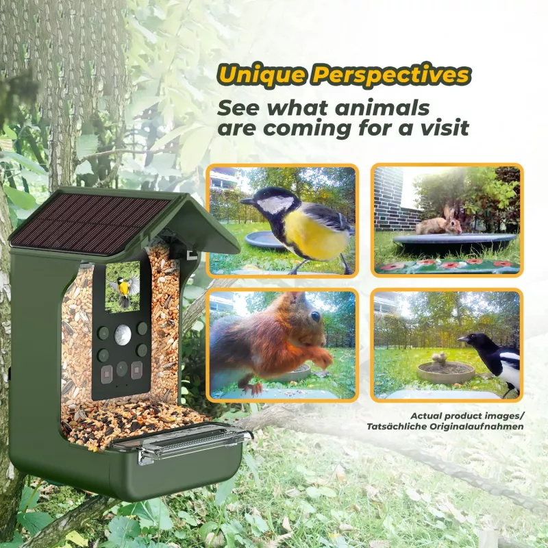 EASYPIX Bird Cam 10123 paukščių kamera 1080p HD naktinis matymas