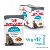 Šlapias kačių ėdalas Royal Canin Urinary Care suaugusiems paukštienos 85 g paketėlis (12 vnt.)