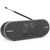 Nešiojamas radijo imtuvas TechniSat DIGITRADIO BT 2 DAB+ FM 20W