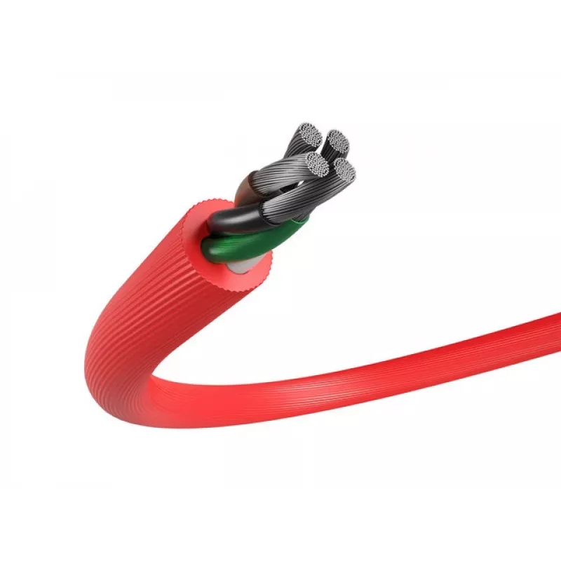 USB laidas NATEC NKA-1201 USB 2.0 1 m USB A USB C juodas raudonas