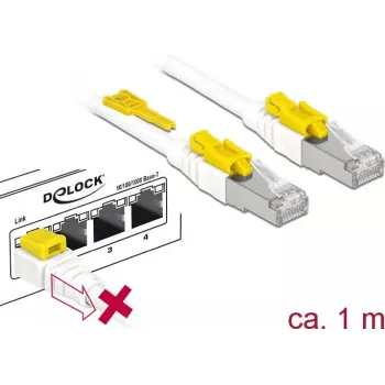 DeLOCK 85331 tinklo kabelis RJ-45 Cat6a 1 m Baltas