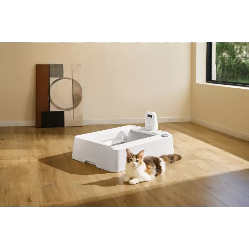 Savaime išsivalantis katės tualetas PETKIT T7-EU, baltas