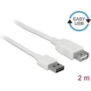 USB laidas DeLOCK 85200 USB 2.0 2 m baltas