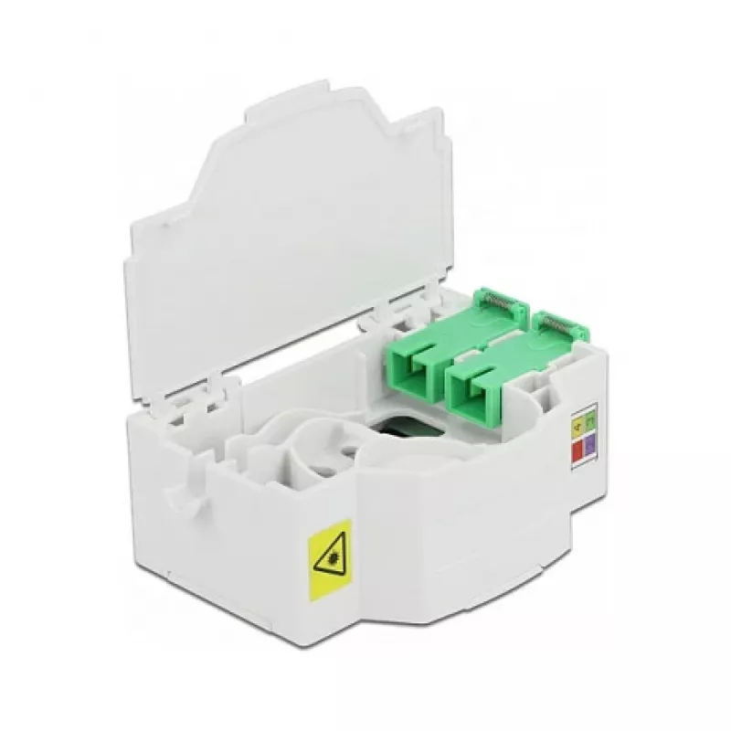 DeLOCK 86543 tinklo jungiamoji dėžutė balta