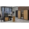 Topeshop OLIV 2D ANT/ART KPL biuro spintelė