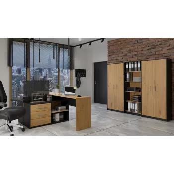 Topeshop OLIV 2D ANT/ART KPL biuro spintelė