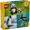 LEGO CREATOR 3 IN 1 31165 Pandų šeima