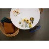 LEGO BOTANICALS 11502 Saulėgrąžų puokštė